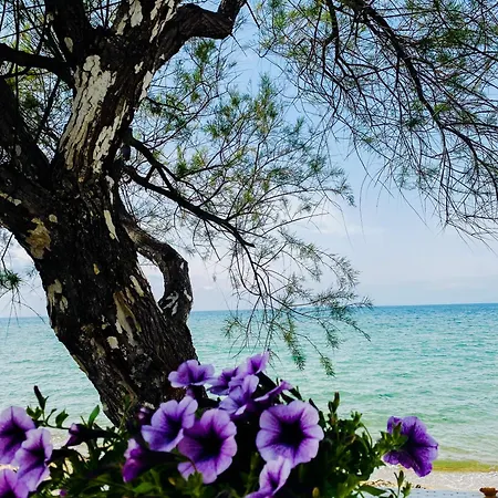 Apollo Appartement *